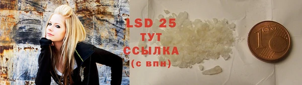 ПСИЛОЦИБИНОВЫЕ ГРИБЫ Алексеевка