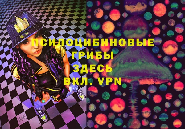 молекула духа Алексин